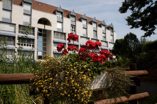 Des fleurs rouges et jaunes plantées devant le foyer des Planchettes