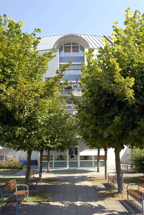 Une allée d'arbres qui mène au bâtiment des Planchettes